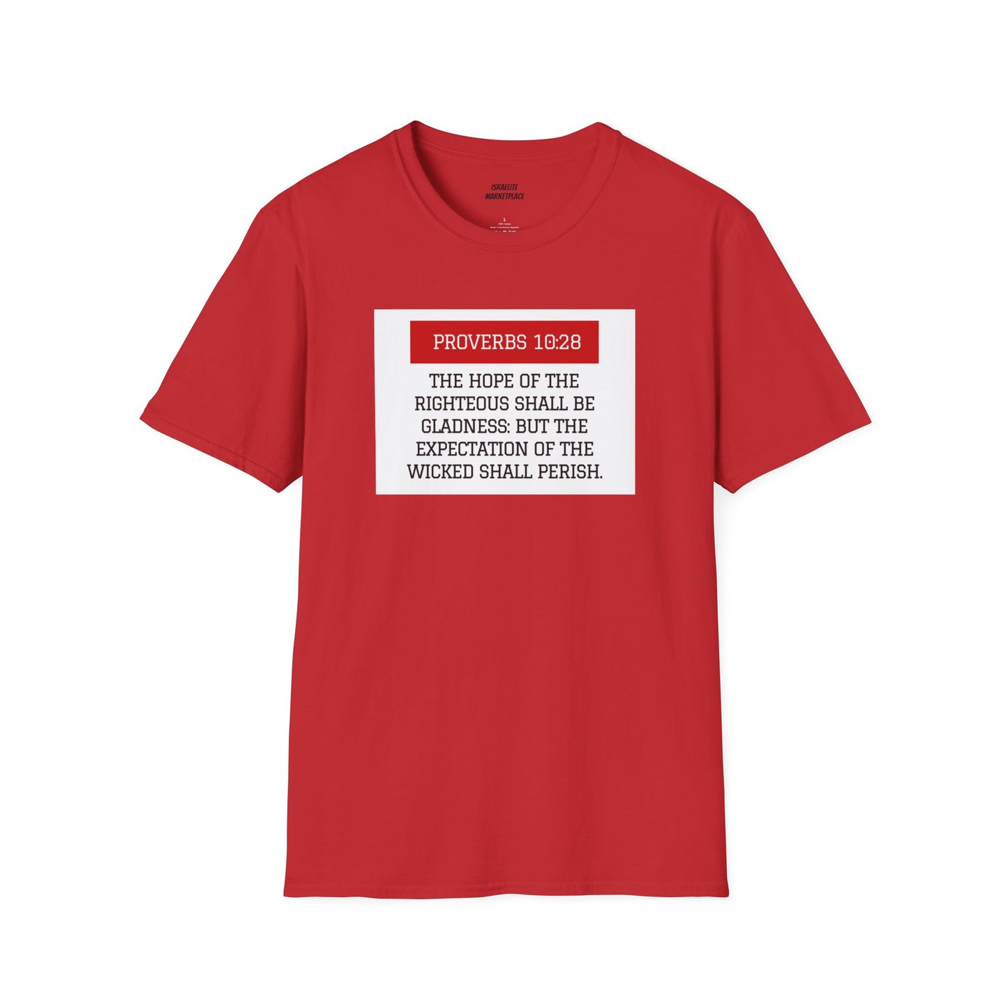 Unisex Proverbs 10:28 Tee